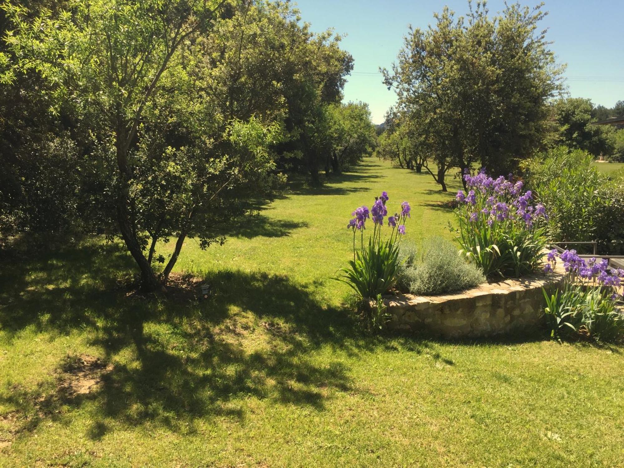 Mas Notre Dame Bed and Breakfast Eygalières Exterior foto